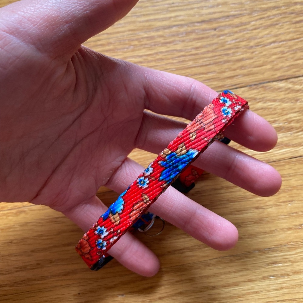 Adjustable Kitten Collar - Picture 2 of 5